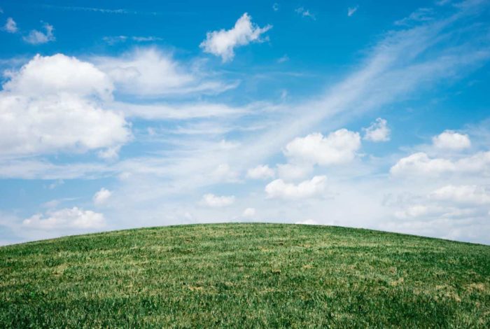 landscape of grass field under blue sky