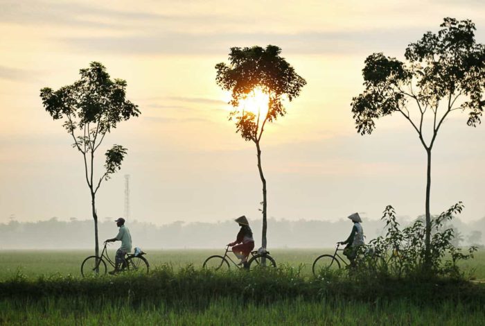 three person riding bikes on green grass field