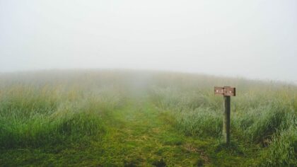 green grass field during fog