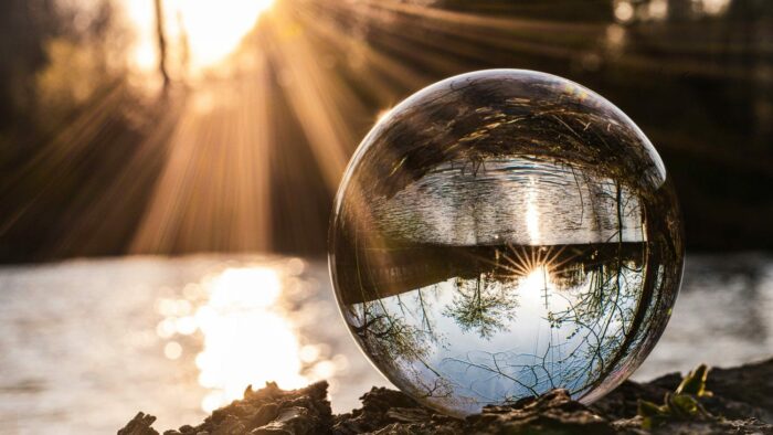 clear glass ball on brown dried leaves