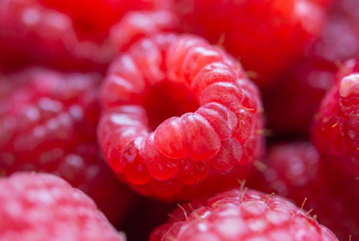 red round fruits in close up photography