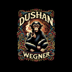 Dushan Wegner (Symbolbild)